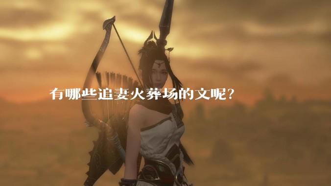 有哪些追妻火葬场的文呢？