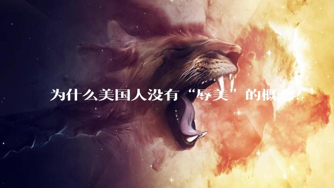为什么美国人没有“辱美”的概念？